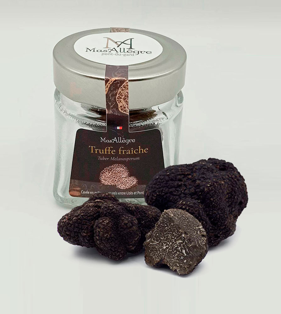 produits_truffe-fraiche-b